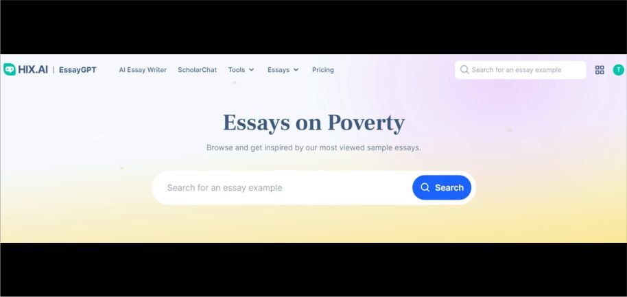 Essay