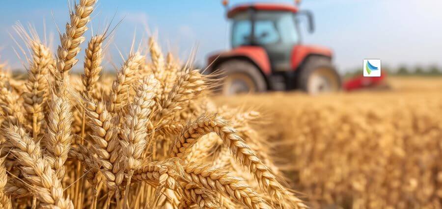 How to Implement Integrated Pest Management (IPM) in Crop Production