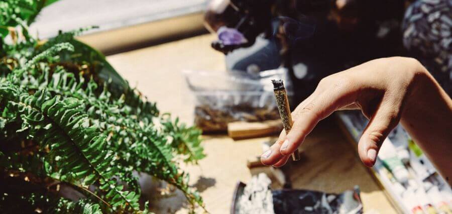 Indica, Sativa and Hybrid