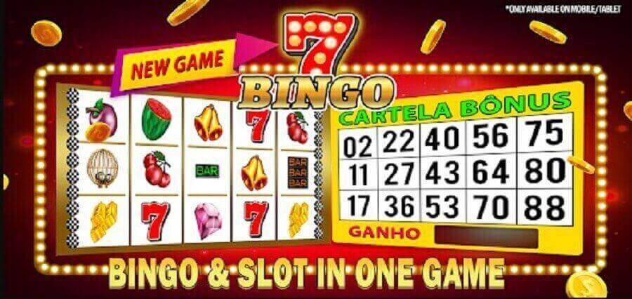 Bingo or Slots